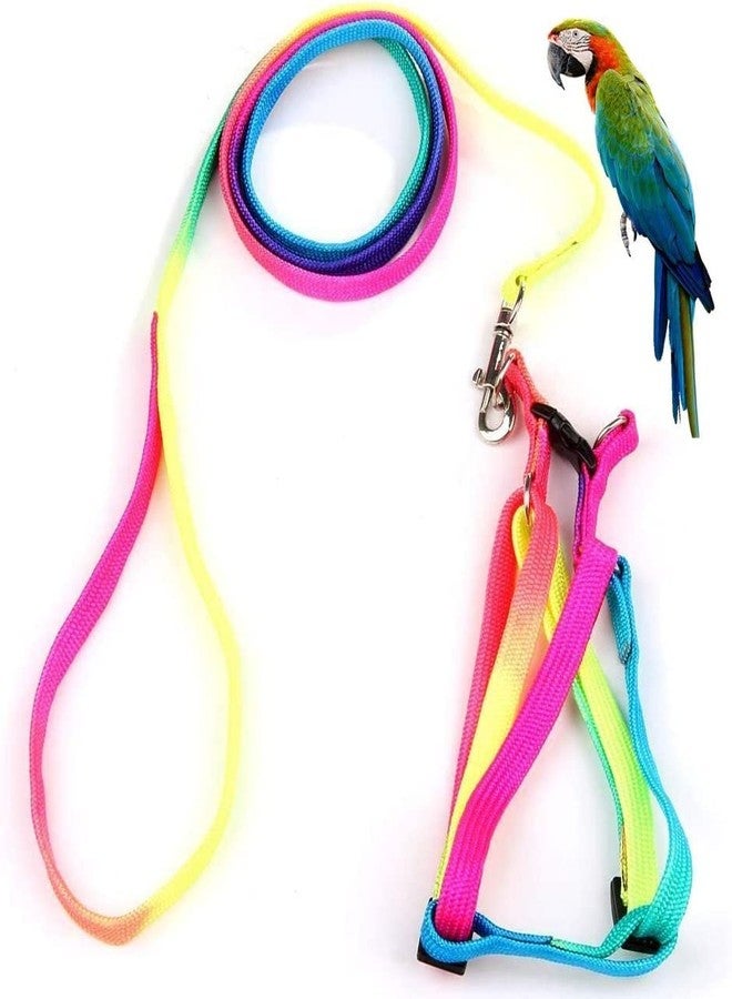 Pups&Pets Bird Rainbow Color Harness and Leash Set | Safe Adjustable Harness with Buckle | Long 47inch Anti bite Training Rope Leash for Macaw & Large Size Birds (Width - 10MM) - Image 1
